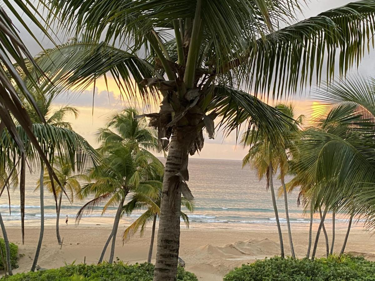 Beachfront Luxury 2 Bedroom At Wyndham Rio Mar, Pr ルキリョ エクステリア 写真